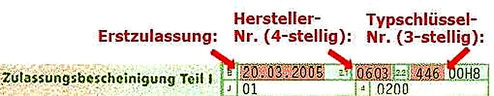 Wo HSN und TSN zu finden sind